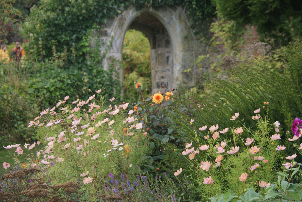 056_Scotney_castle_Flowers_DSC04230