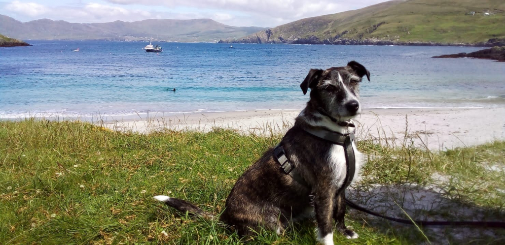 Garnish_Beach__Beara_Peninsula__Co_Cork_master